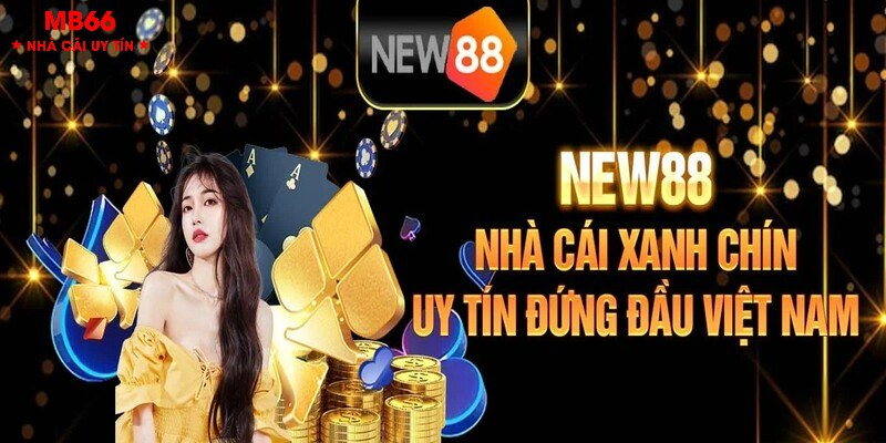 Giải đáp chi tiết cá cược NEW88 có phạm pháp không?