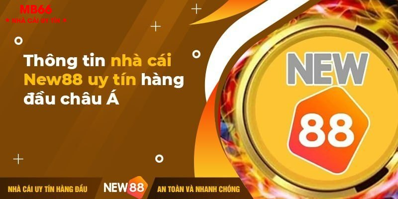 NEW88 - Sân chơi trực tuyến an toàn và minh bạch